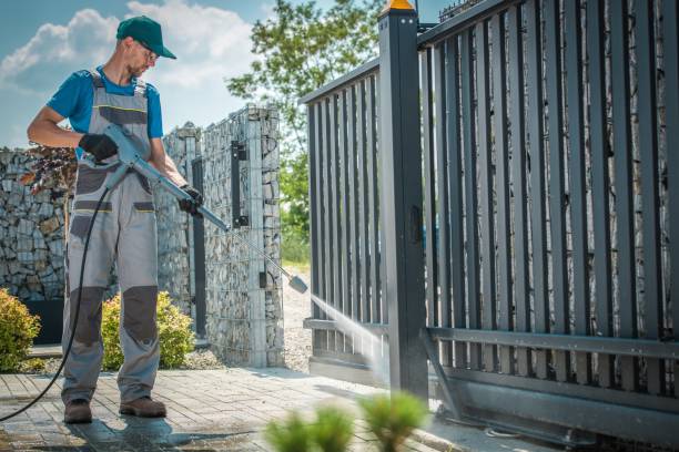 Best Historic Building Restoration  in Toledo, IL