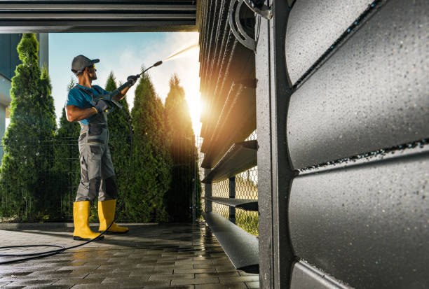 Best Solar Panel Cleaning  in Toledo, IL